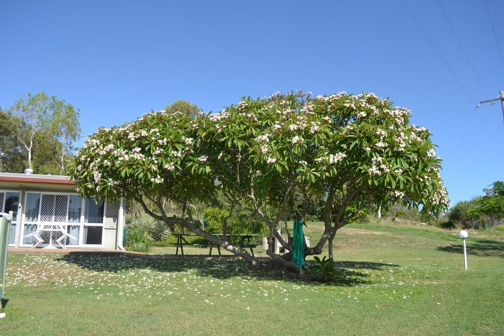 Ocean View Motel Bowen Exteriör bild